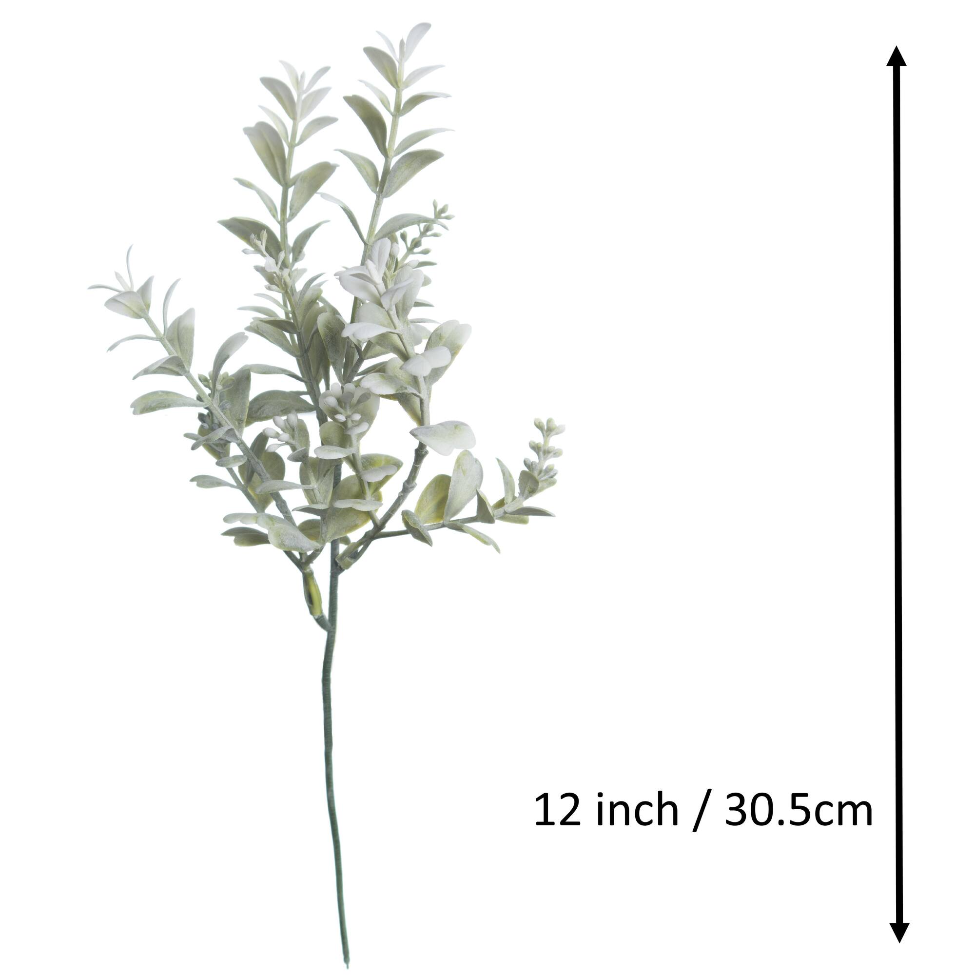 12" Green & Cream Boxwood Pick by Ashland®